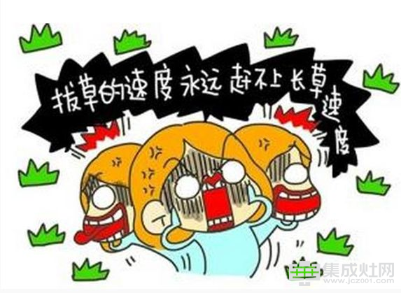 板川集成灶天猫旗舰店双12年终盛典爆料：再创全年最低价 