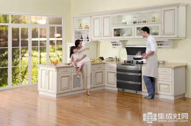 第13届南京品牌家博会 力巨人集成灶给您打造“绿色春天厨房”